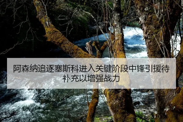 阿森纳追逐塞斯科进入关键阶段中锋引援待补充以增强战力